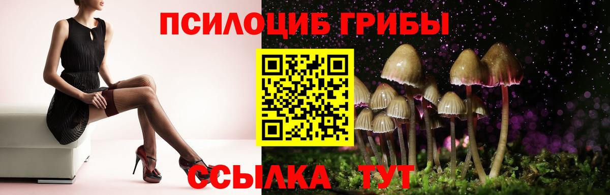 Псилоцибиновые грибы Cubensis  Вход с VPN  Елец 